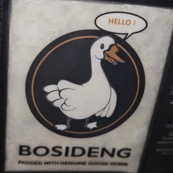 Goose Down Jacket - Picture 2 of 2